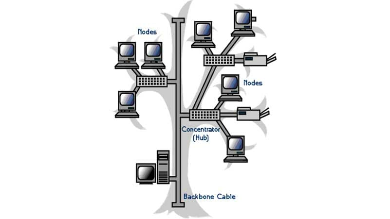 gambar karakteristik topologi tree