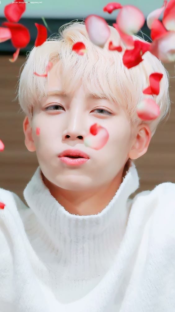 Wallpaper Jeonghan Seventeen