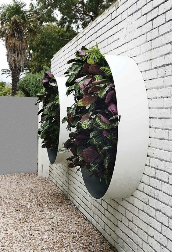 inspirasi taman depan rumah minimalis Green Wall